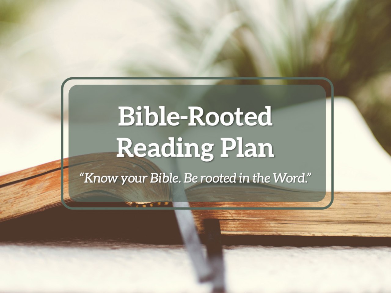 bible-rooted-reading-plan-christian-bible-church-of-the-philippines