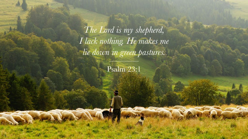 Is the Lord your Shepherd? | Psalm 23:1 - Christian Bible Church of the ...