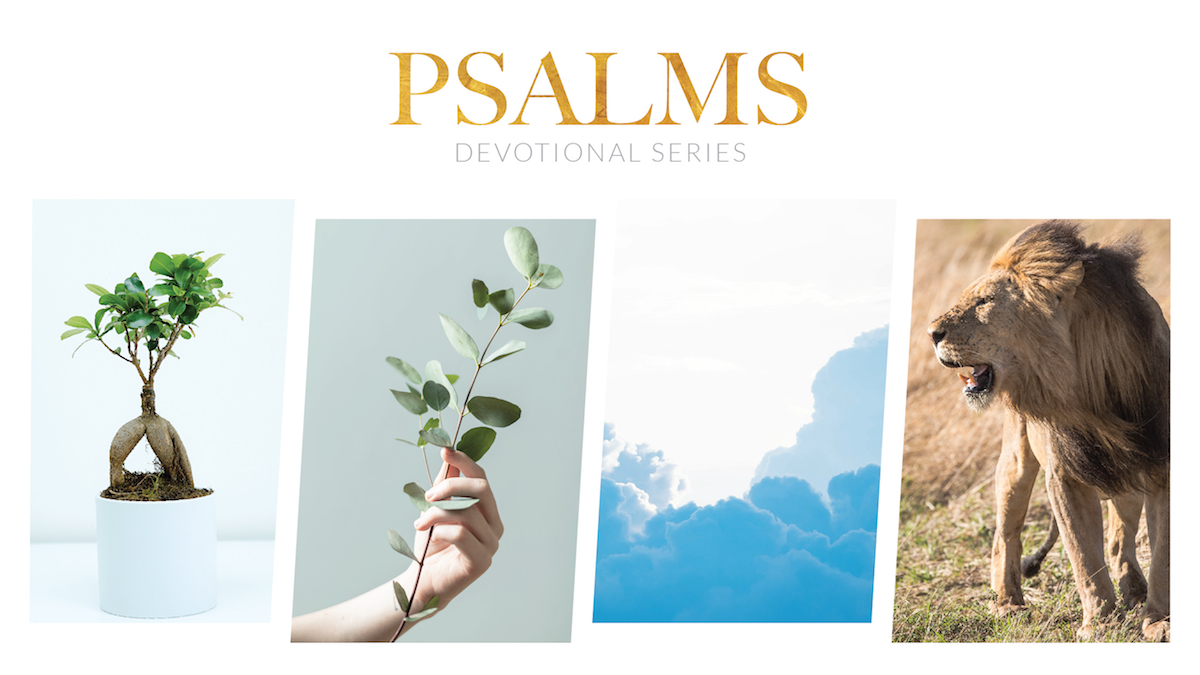 Psalms Devotionals