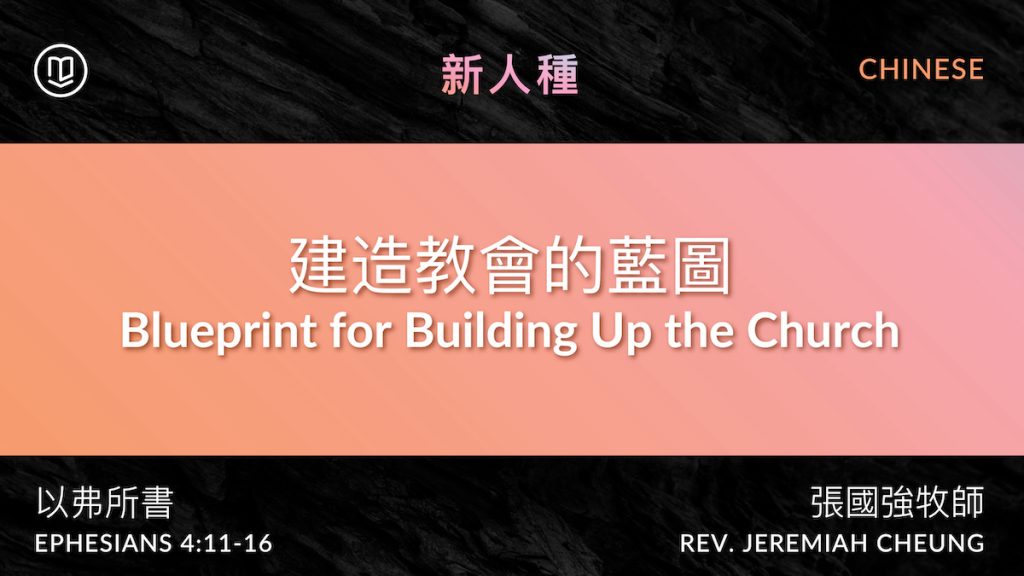 建造教會的藍圖 Blueprint for Building Up the Church