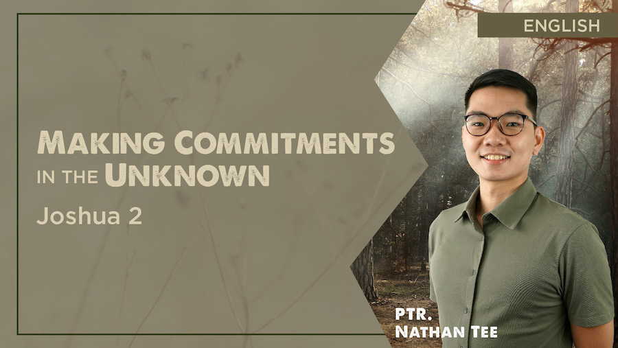 Making Commitments in the Unknown