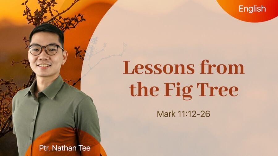 Lessons from the Fig Tree