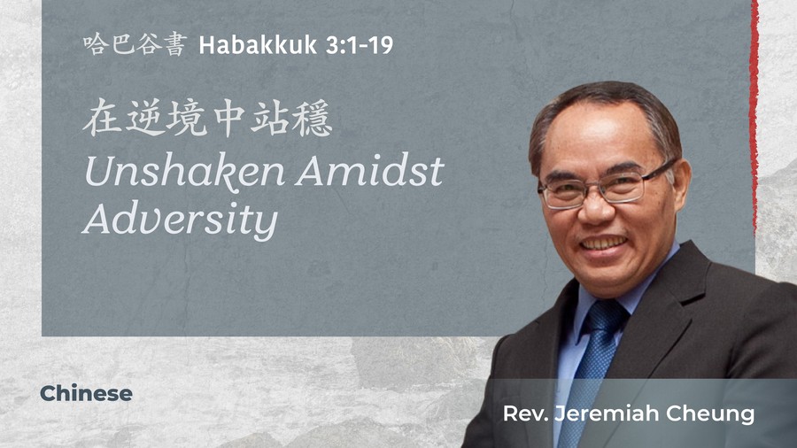 在逆境中站穩 Unshaken Amidst Adversity