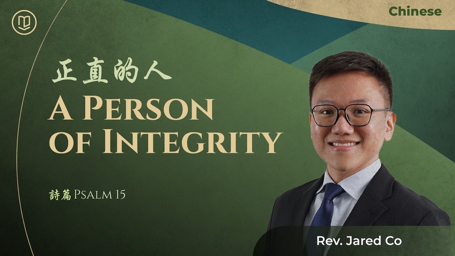 正直的人 A Person of Integrity